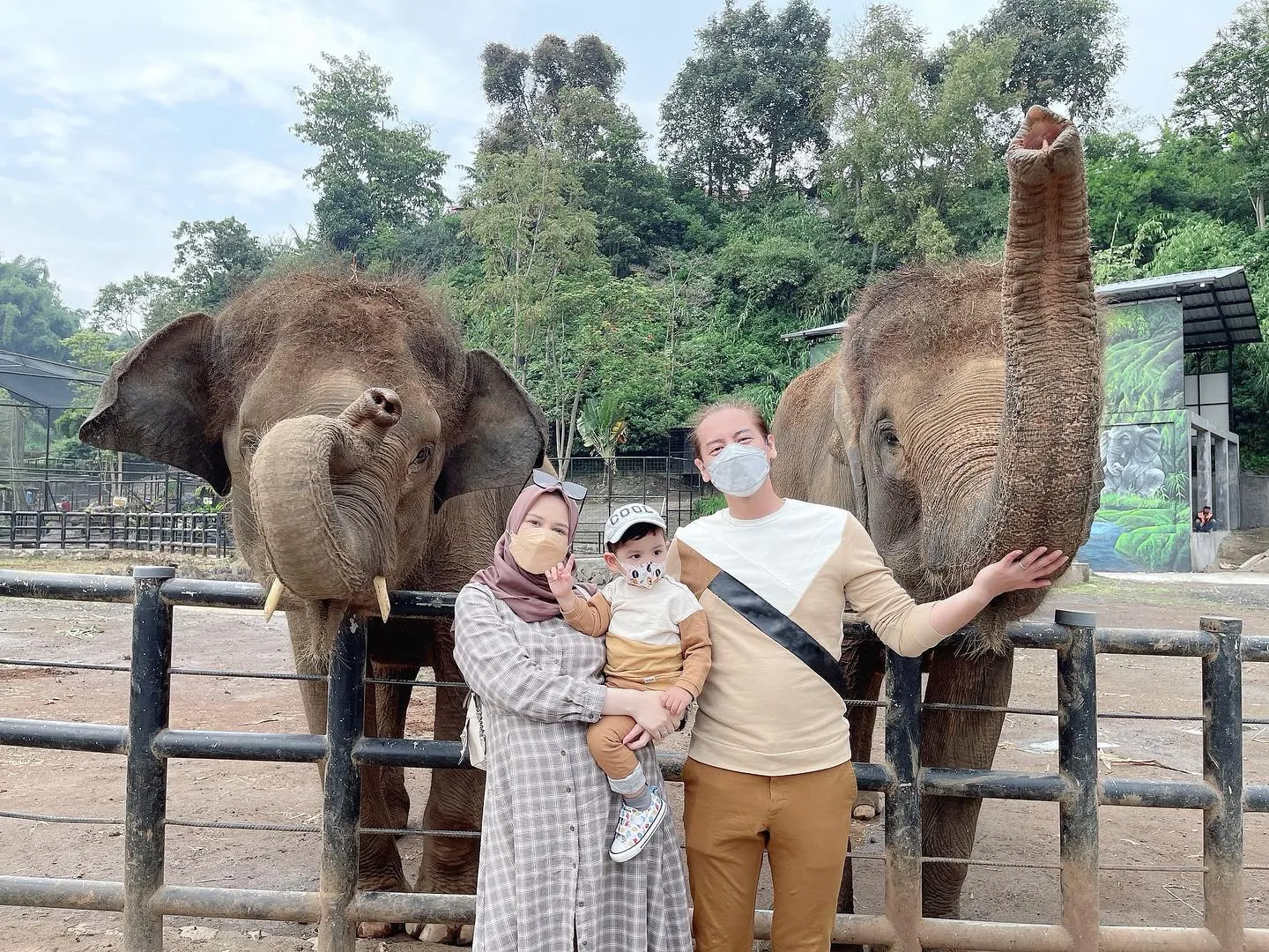 Melihat Gajah