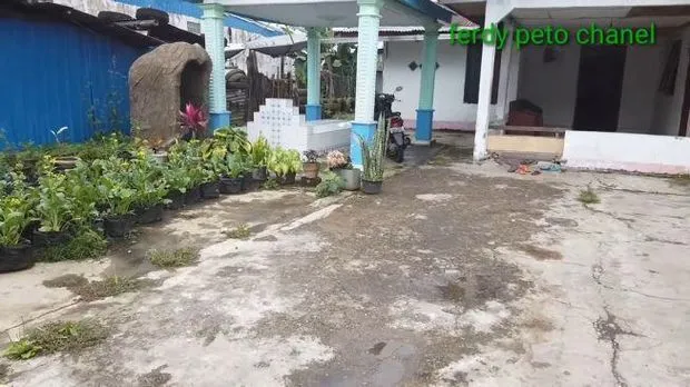 Tinggal Bersama Nenek dan Kakeknya