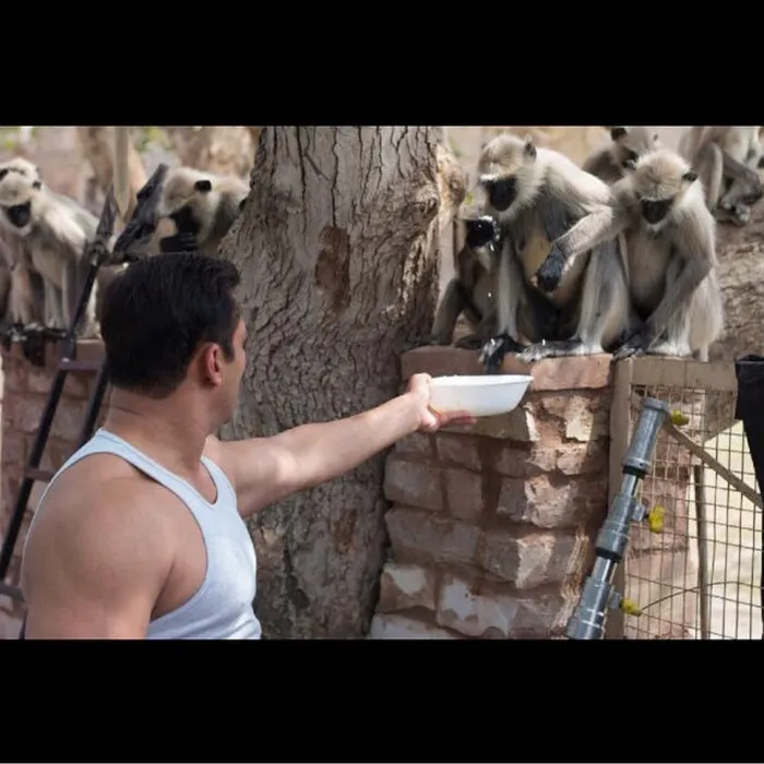Ini dia foto Salman Khan yang sedang bercengkerama santai dengan monyet di waktu luangnya @indianexpress.com
