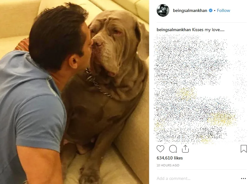 Ciuman Mesra Salman Untuk Anjingnya
