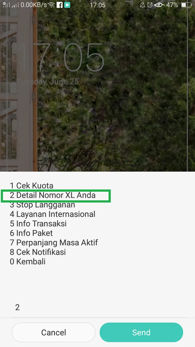 Ilustrasi gambar (Dokumen Pribadi)