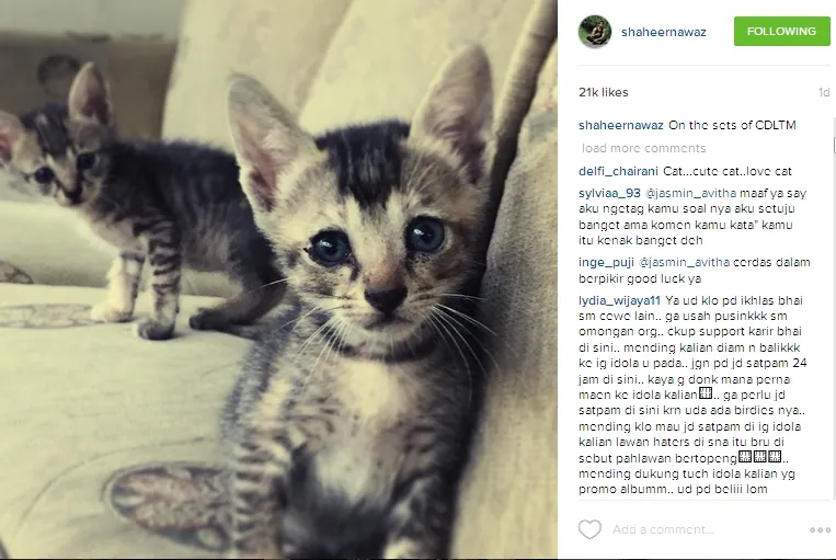 Ayu paling benci sama kucing. @instagram/shaheernawaz