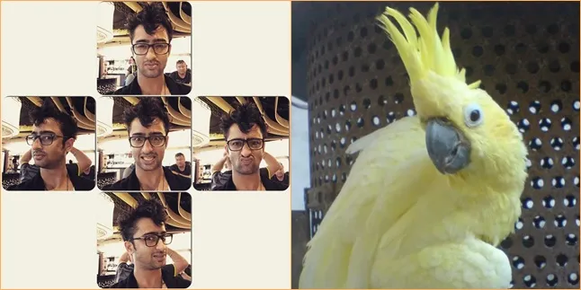 Jambul Shaheer mirip burung kakak tua? @istimewa