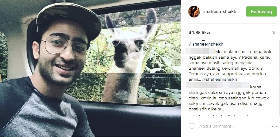 Shaheer Sheikh diminta balikan dengan Ayu ©instagram/shaheernsheikh