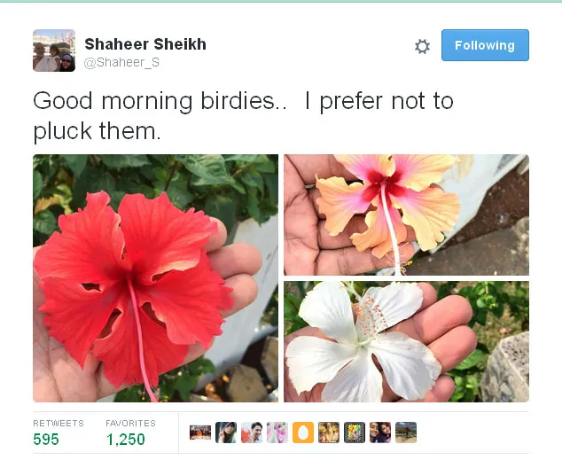 Ini dia bunga sepatu yang ingin dilindungi oleh Shaheer Sheikh @twitter.com/Shaheer_S