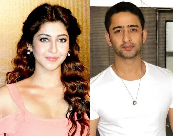Shaheer Sheikh bakal main bareng Sonarika Bhadoria? ©bollywoodlife