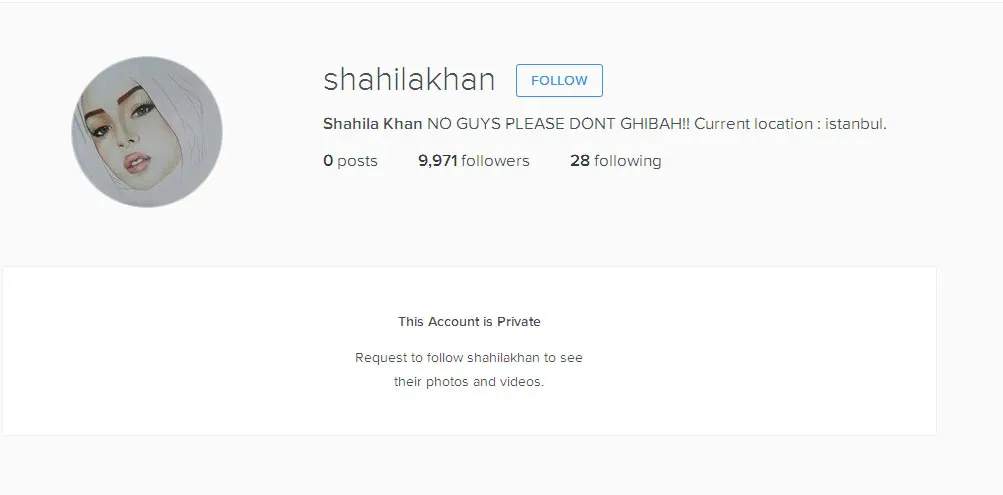 Akun palsu @shahilakhan menghapus semua postingan fotonya © Instagram.com/shahilakhan