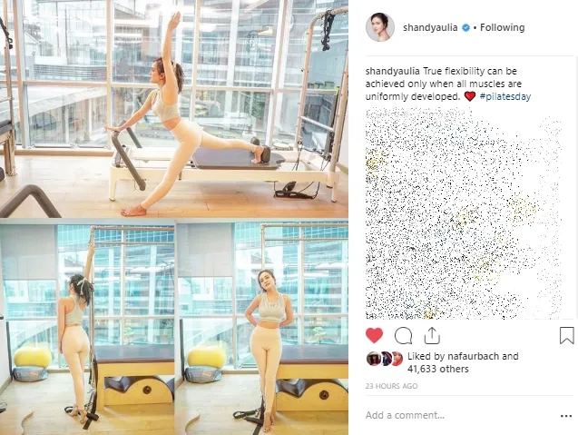 Credit: instagram.com/shandyaulia