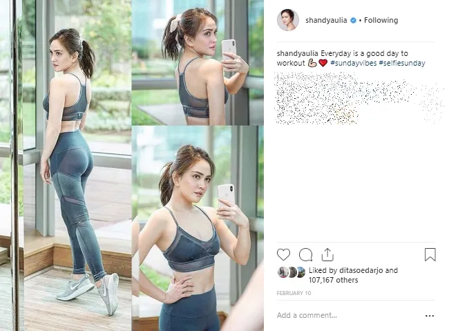 Credit: instagram.com/shandyaulia