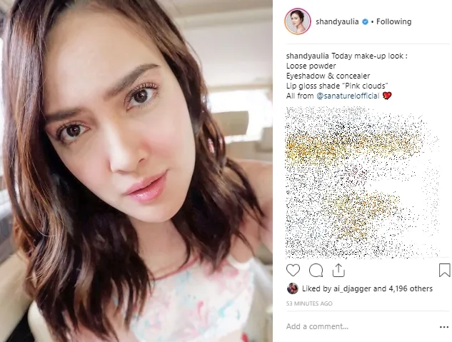 Credit: instagram.com/shandyaulia