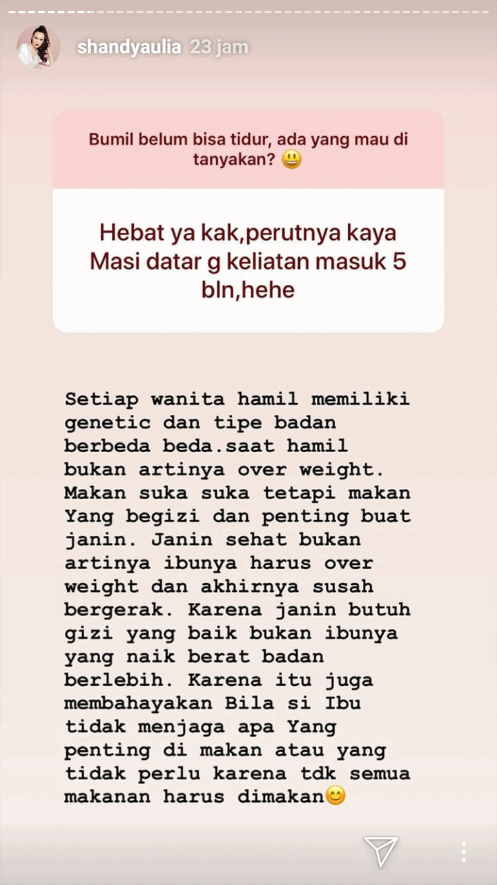 (credit: instagram.com/stories/shandyaulia)