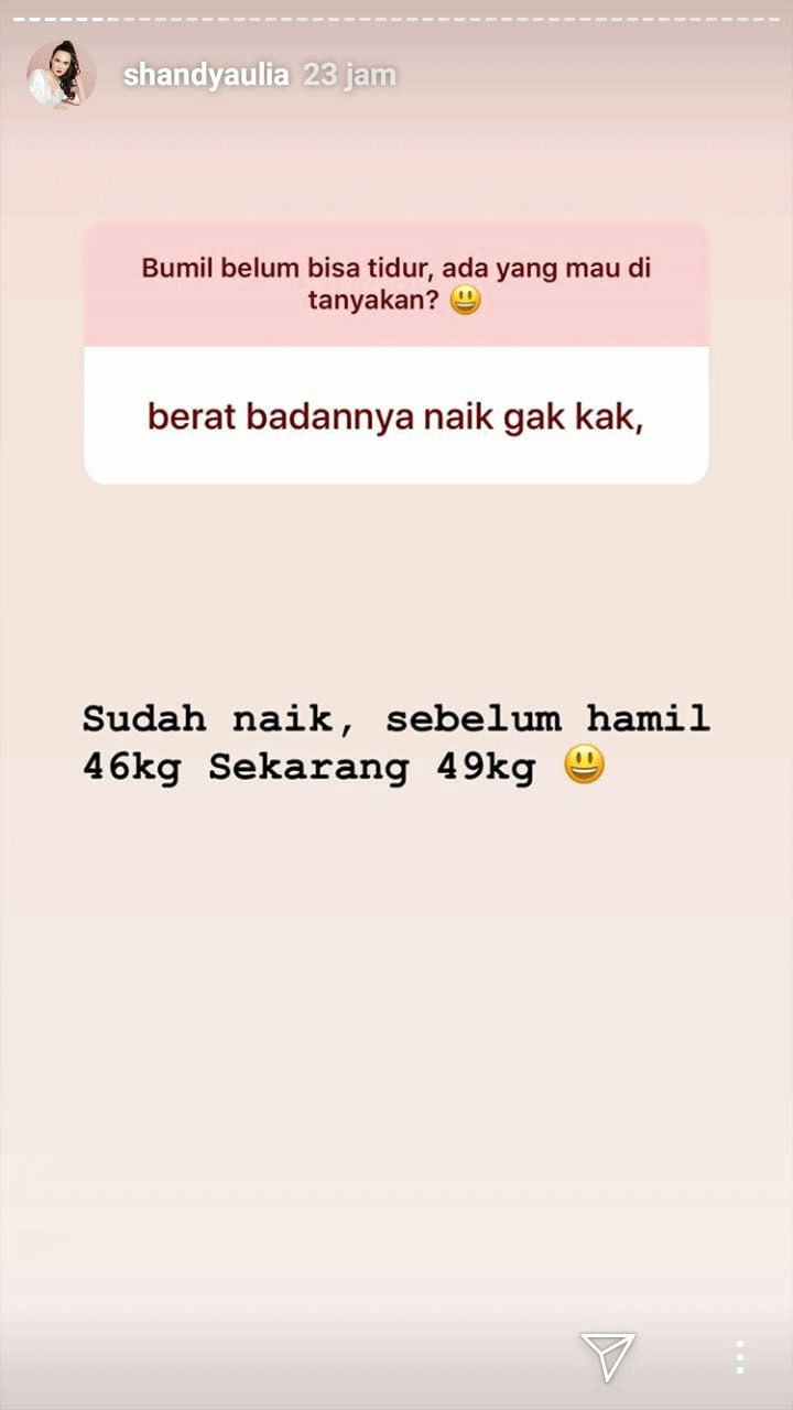 (credit: instagram.com/stories/shandyaulia)