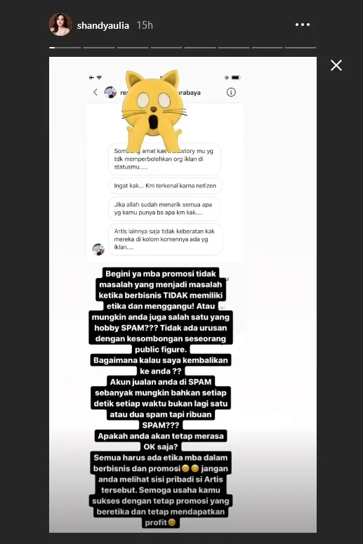 ©instagram.com/shandyaulia