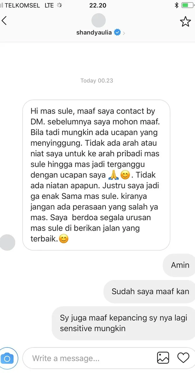 Sule mengunggah percakapannya bersama Shandy Aulia. (Credit: Instagram/ferdinand_sule)