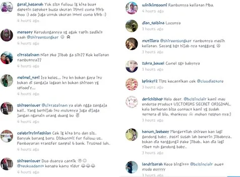 Kritikan fans untuk Shireen. @Instagram.com/bclsinclair