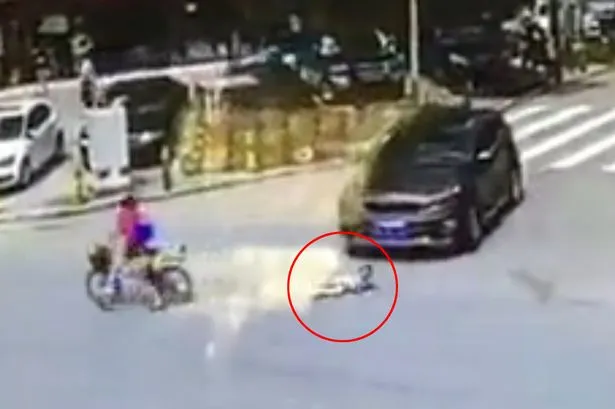 58 Gambar Anak Kecil Jatuh Dari Sepeda Terbaru