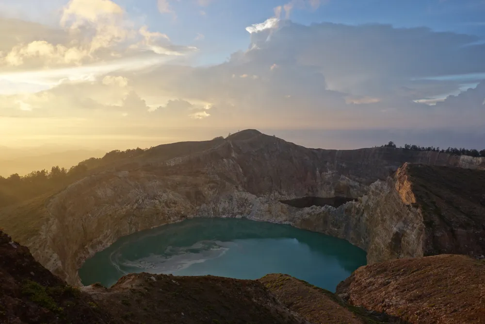 Credit: Shutterstock