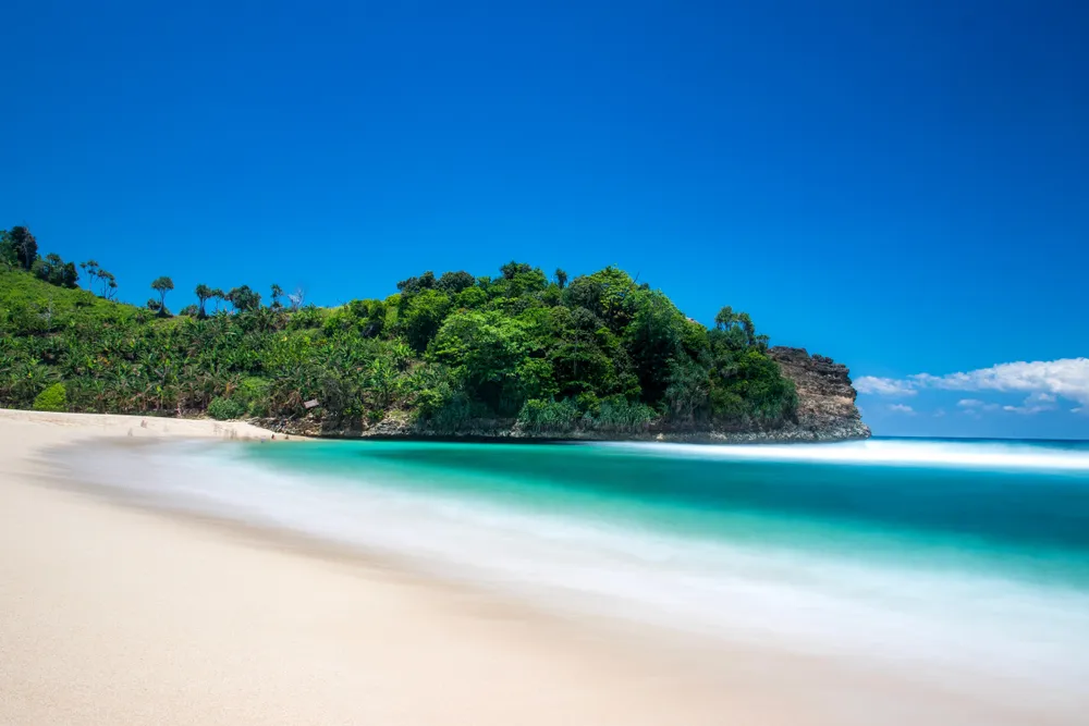 Credit: Shutterstock