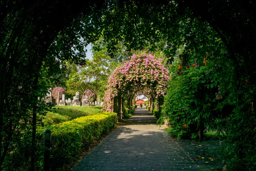 Credit: Shutterstock