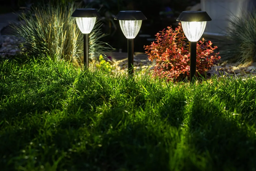 Credit: Shutterstock