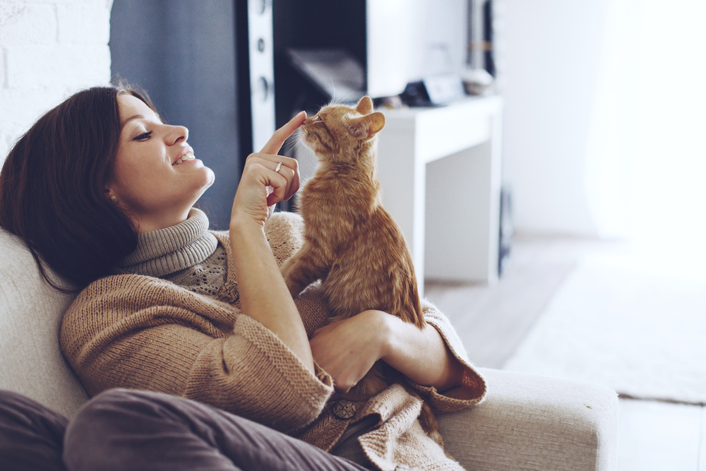 Cats process images faster than human eyes. (c) Shutterstock