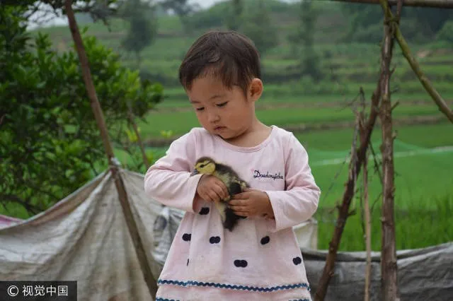 Foto Ayah Ajak Anak Tidur di Kuburan Jadi Viral, Alasannya Tragis Foto Ayah Ajak Anak Tidur di Kuburan Jadi Viral, Alasannya Tragis Foto Ayah Ajak Anak Tidur di Kuburan Jadi Viral, Alasannya Tragis video viral info traveling info teknologi info seks info properti info kuliner info kesehatan foto viral dubai bertugas berita ekonomi Foto Ayah Ajak Anak Tidur di Kuburan Jadi Viral, Alasannya Tragis video viral info traveling info teknologi info seks info properti info kuliner info kesehatan foto viral dubai bertugas berita ekonomi