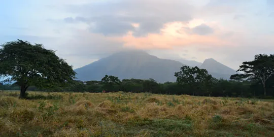 Taman Nasional Baluran