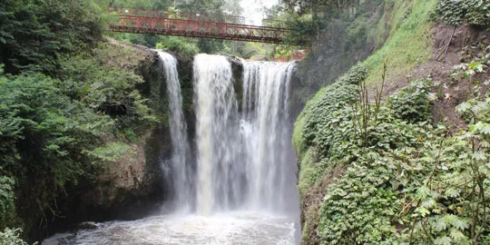 Dago Pakar