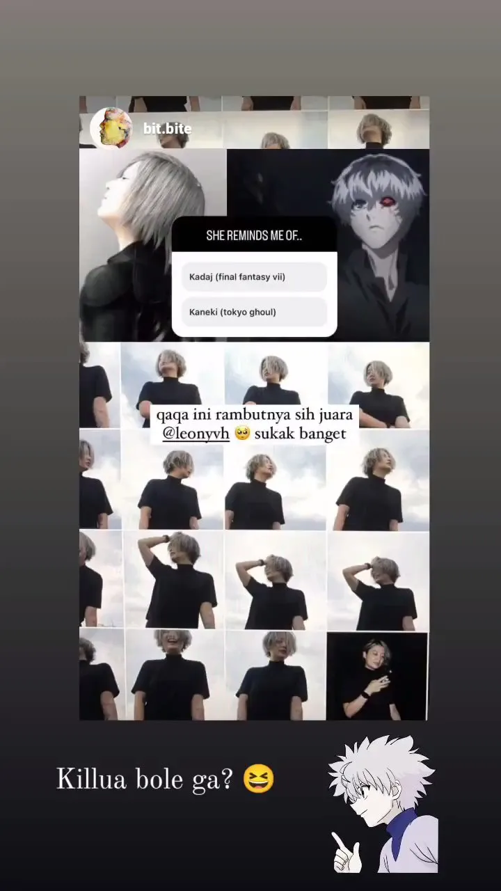 (credit: instagram.com/leonyvh)