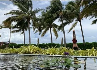 © instagram.com/iamsrk