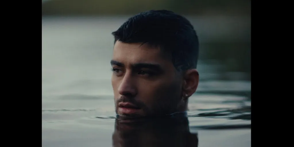 ZAYN - Stardust