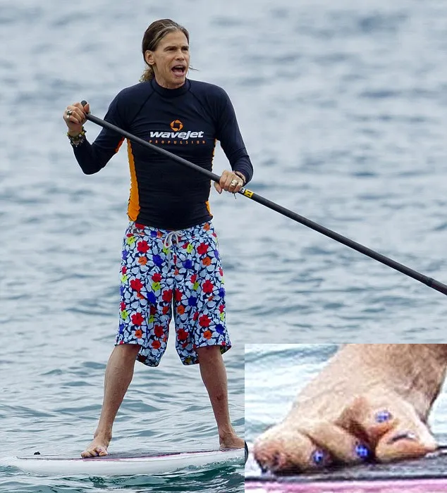 Steven Tyler @ dailymail.co.uk