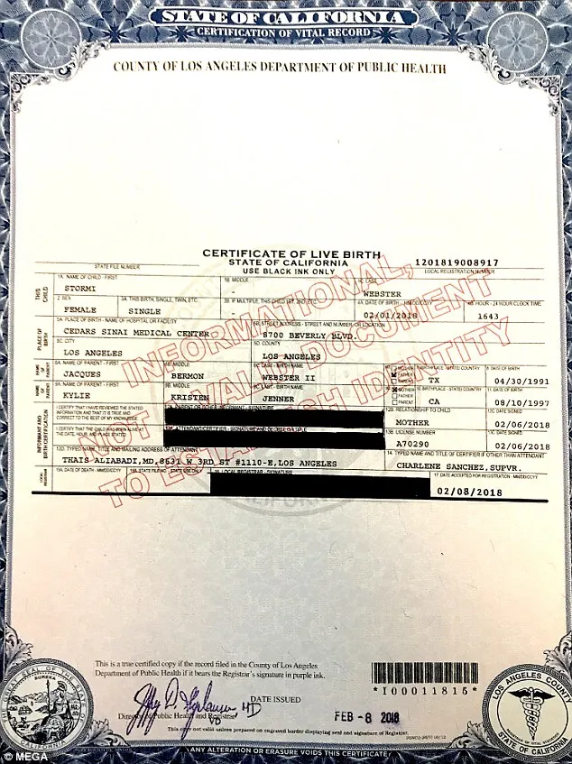 Akta kelahiran Stormi © dailymail.co.uk