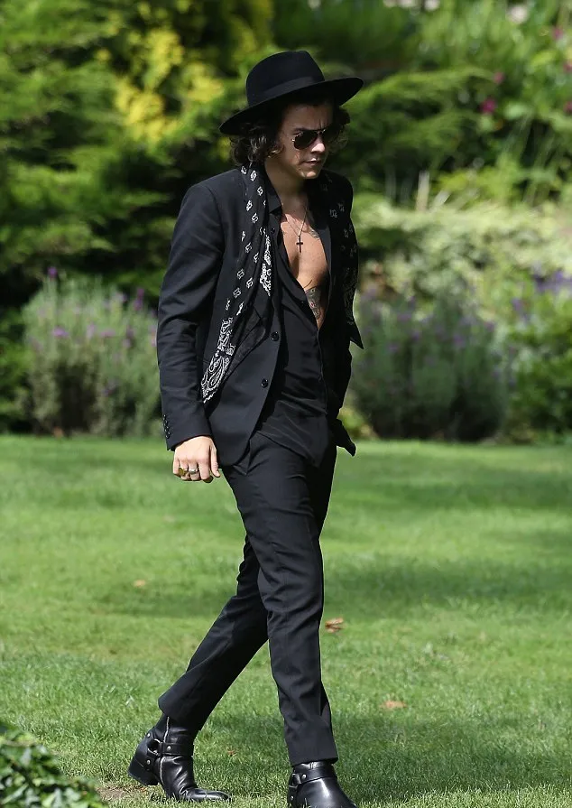 Harry Styles @ dailymail.co.uk