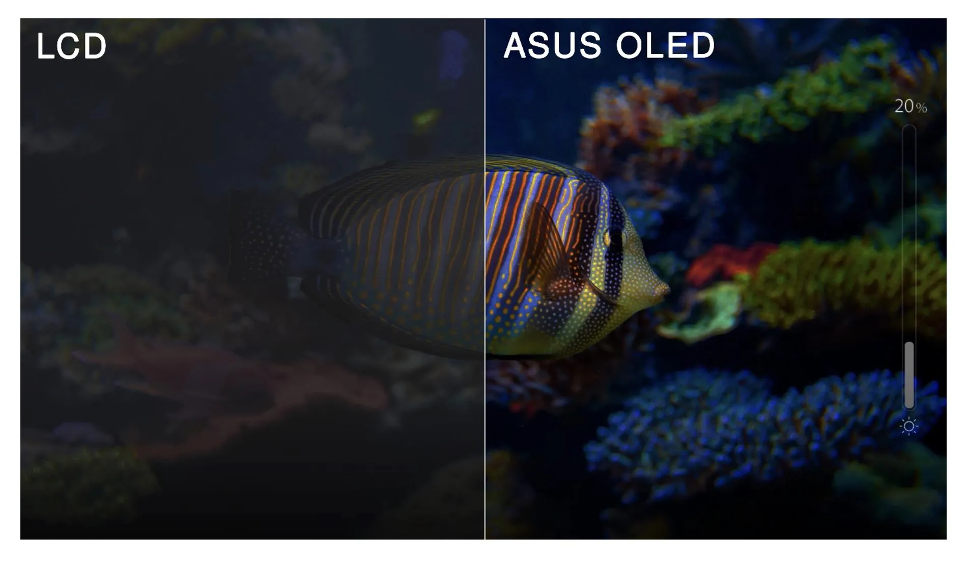 (c) ASUS
