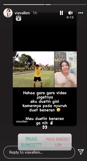 (c) Instagram/viavallen