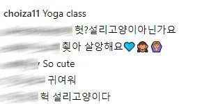 Komentar netizens yang menyebut kalau kucing itu sama dengan yang pernah ada di Instagram Sulli © Istimewa