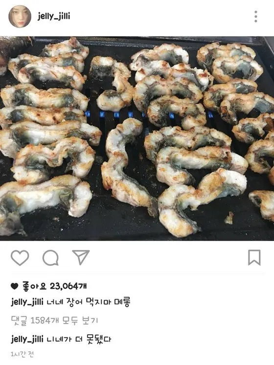 Sulli menyindir netizen di postingan berikutnya © instagram.com/jelly_jilli