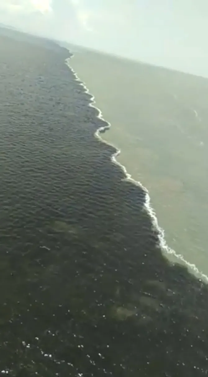 Air laut di Selat Madura (credit: facebook.com/izal.s.tunggal)