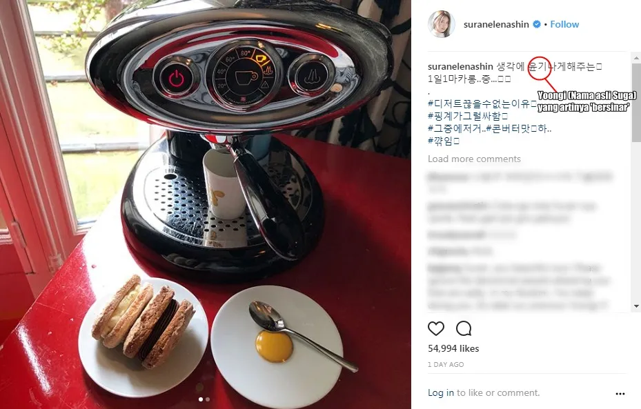 Postingan Suran yang jadi permasalahan © instagram.com/suranelenashin