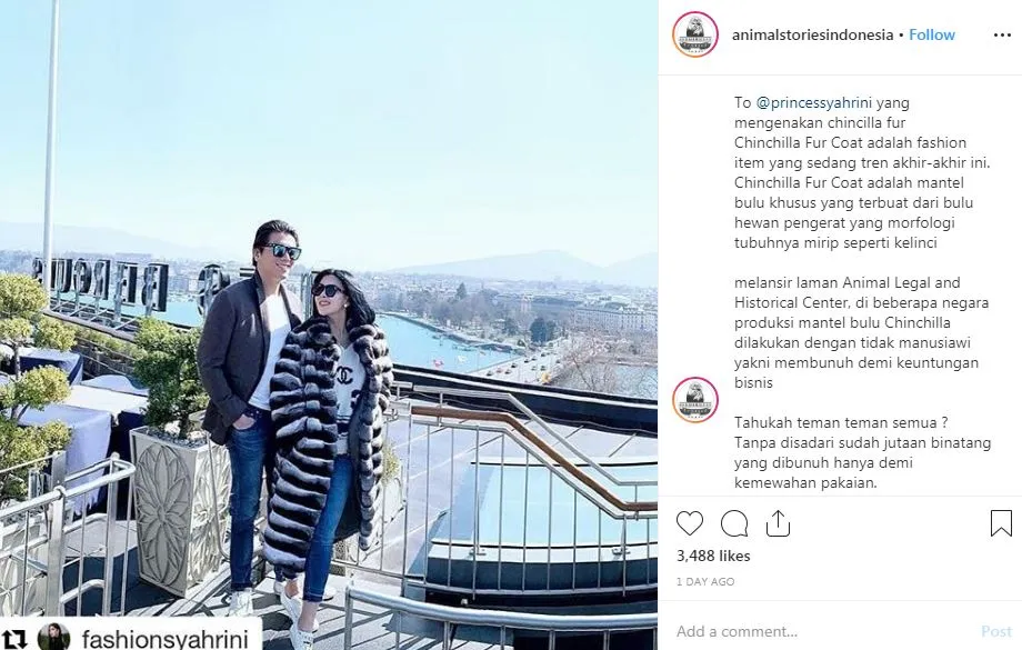 Credit: Instagram/@animalstoriesindonesia