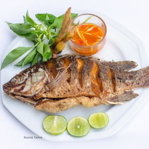 Ilustrasi Ikan Goreng