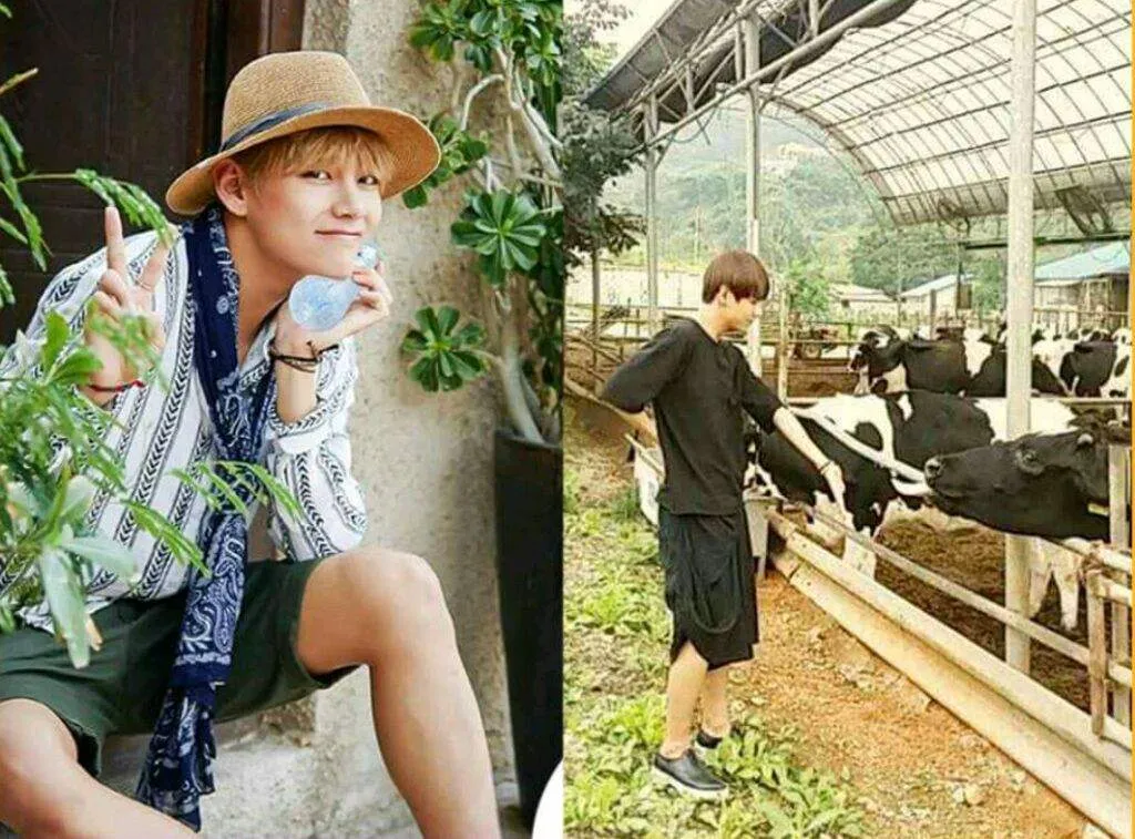 V suka sekali nih kehidupan bertani © Istimewa