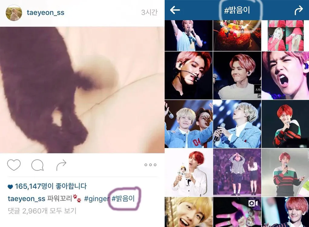 Taecyeon Girls Generation yang menulis hastag nama panggilan Baekhyun EXO. ©instiz.net