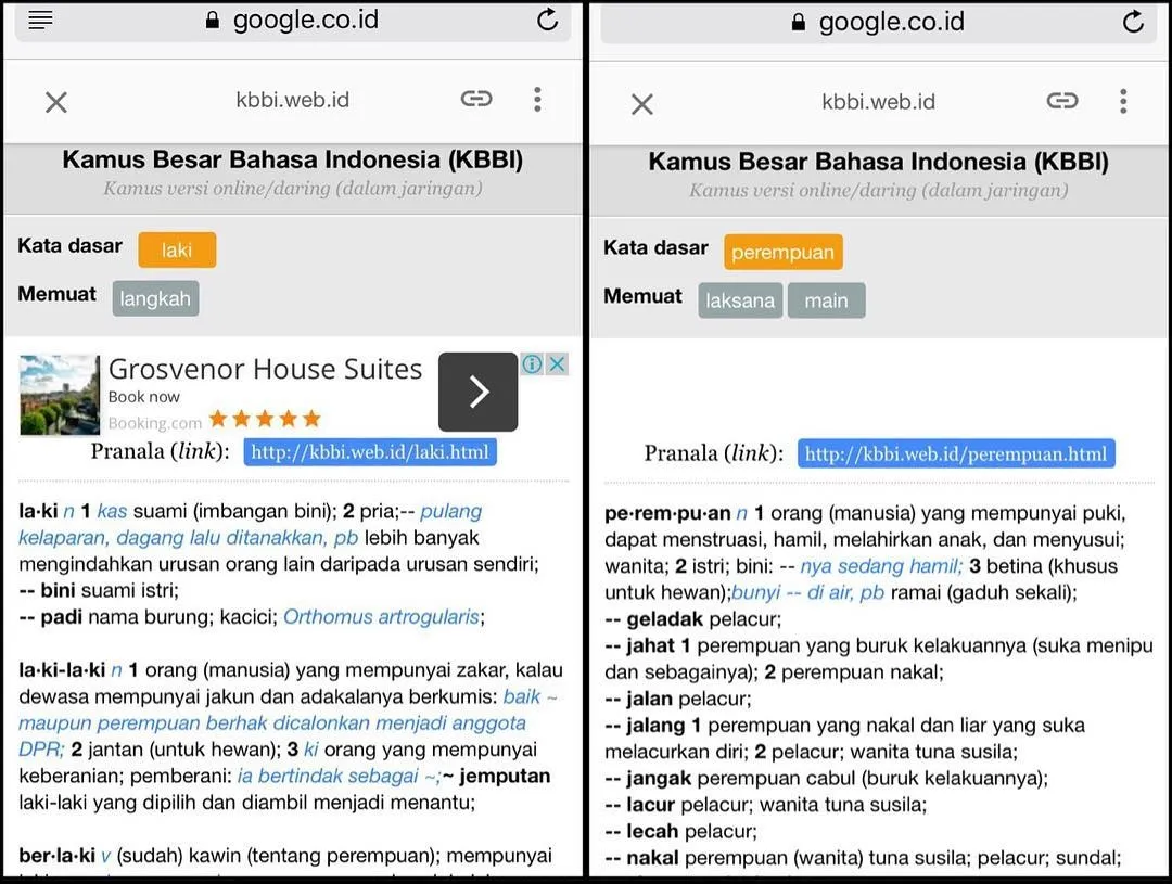 Perbandingan arti 'Laki' dan 'Perempuan' di KBBI © Instagram/tamarableszynskiofficial
