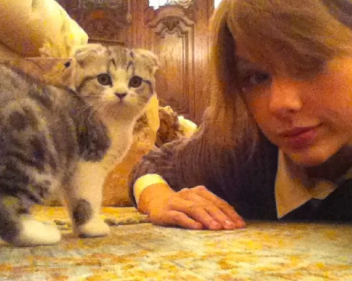 ©instagram.com/taylorswift