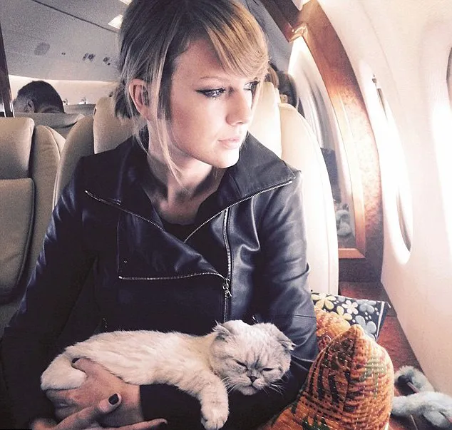 Taylor dilaporkan menerima hadiah dari Drake untuk kucing-kucingnya © dailymail.co.uk