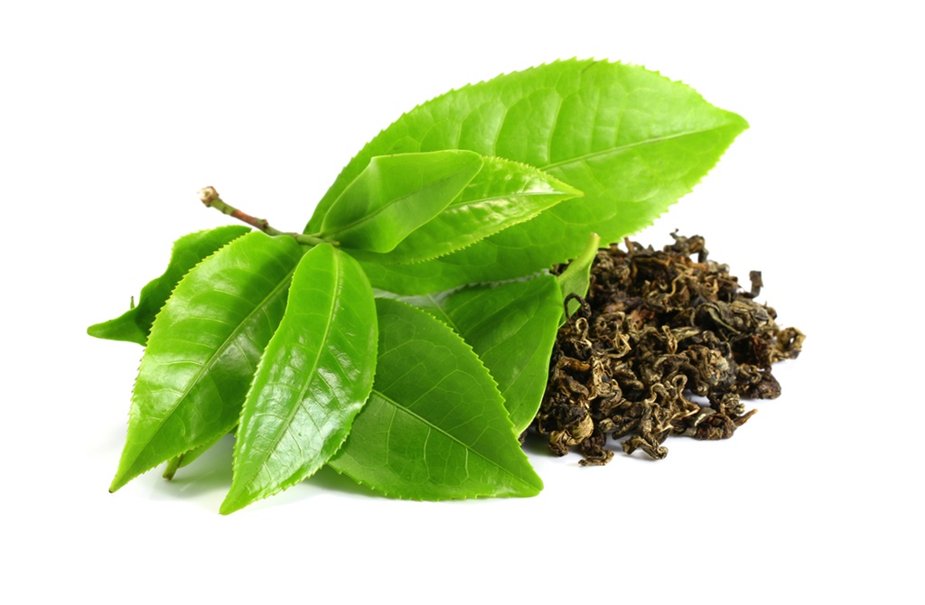 Ilustrasi teh hijau (credit: Shutterstock)