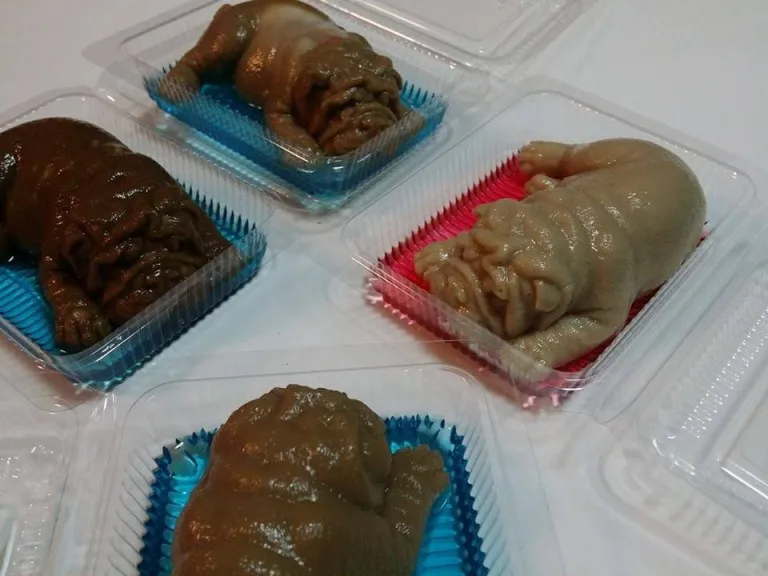Pudding berbentuk anak anjing ini dijual dengan harga Rp 9.600 saja © Facebook.com/Wilawan