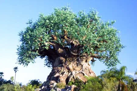 Tree of Life versi asli